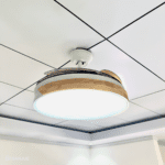 Abanicos Light Wood - Image 4