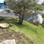 Piedra Flexible Italian Fieldstone - Image 3