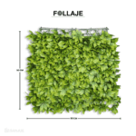 Hoja de Schefflera - Image 3