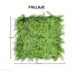 Hoja de Helechos - Image 3