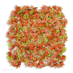 Hoja de Otoño
