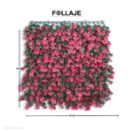 Reineckia Fucsia - Image 3