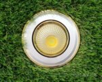 Ojo de Buey Gold 3 Color