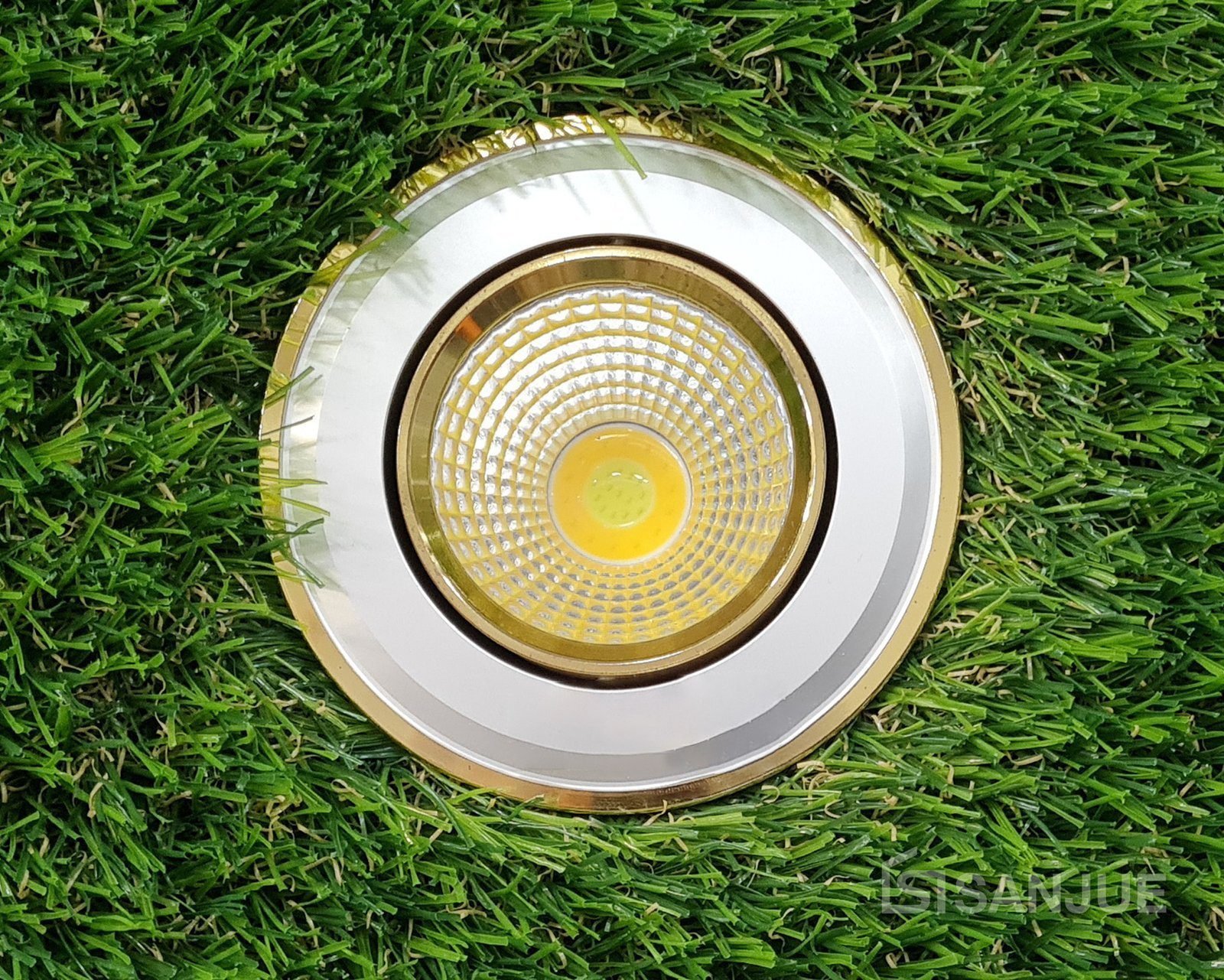 092-OCR90-1.jpg Ojo de Buey Gold 3 Color - Image 1